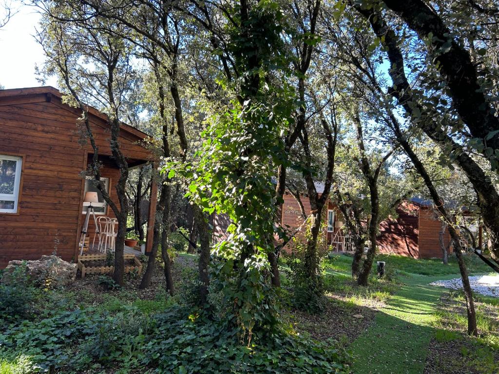 Vonkajšia záhrada v ubytovaní Casa Rural de Rafael Cabañas de Madera