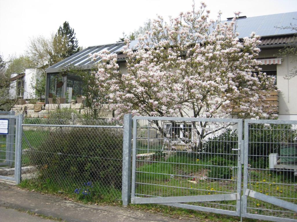 einen Zaun mit einem blühenden Baum vor einem Haus in der Unterkunft Einliegerwohnung Gretels Idyll in Rot am See