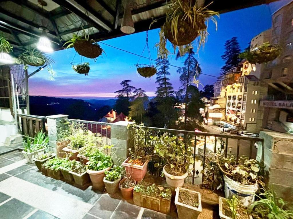 a balcony filled with lots of potted plants at Ganga Hotel Near Mall Road in Shimla