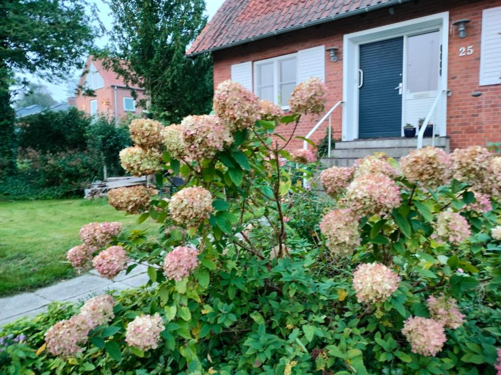 Zahrada ubytování Porshøjvej