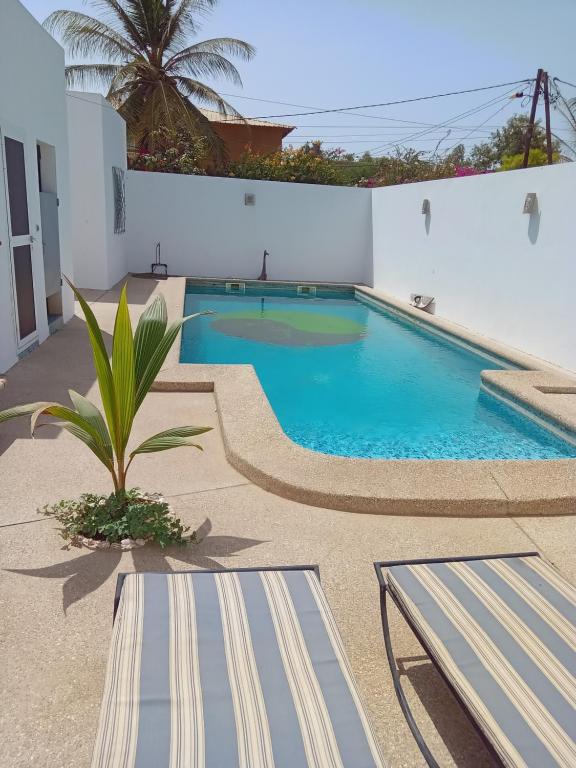 a swimming pool with a bench in front of a house at L'essentiel nianing in Mbour