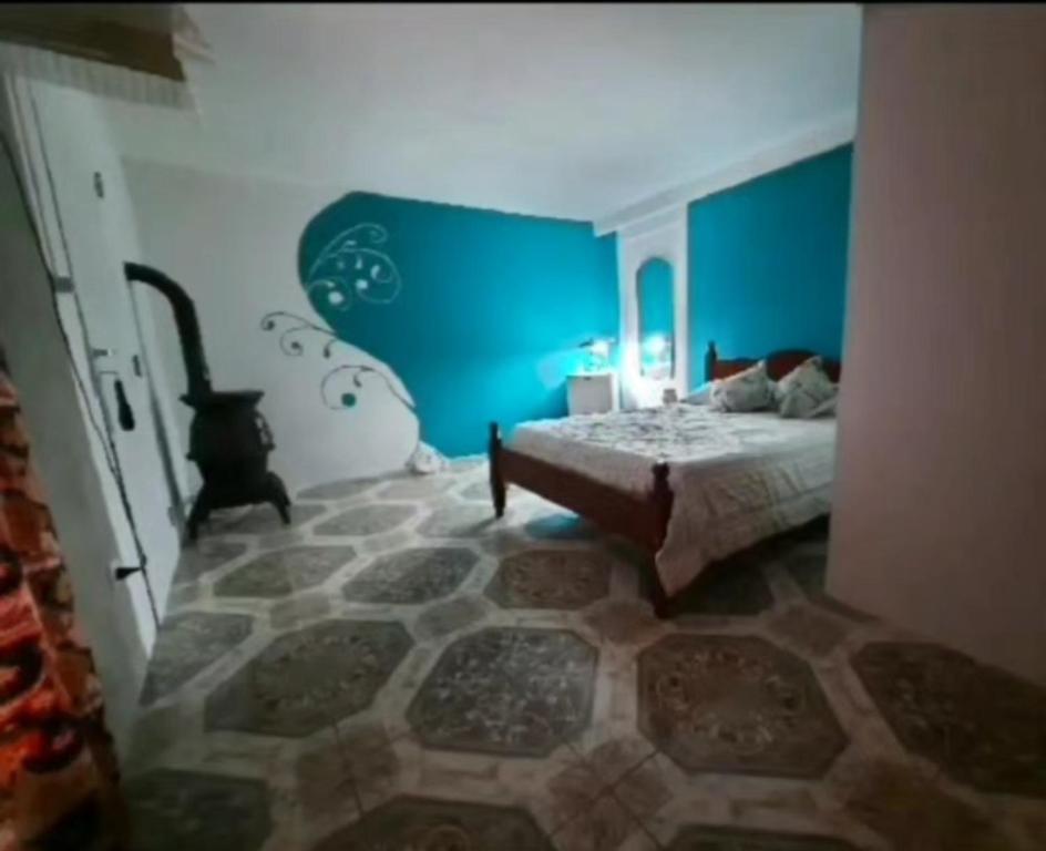 a bedroom with blue walls and a bed in a room at Moni Moni hab in Río Gallegos