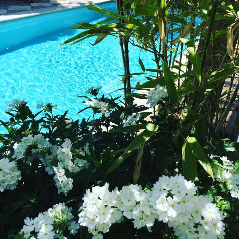 Photo de la galerie de l'établissement CEVEN'LODGE, au Vigan