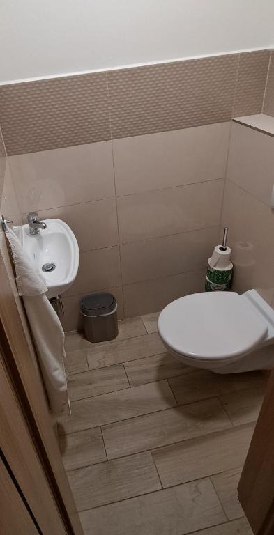 Koupelna v ubytování Penzion Buriánkovi