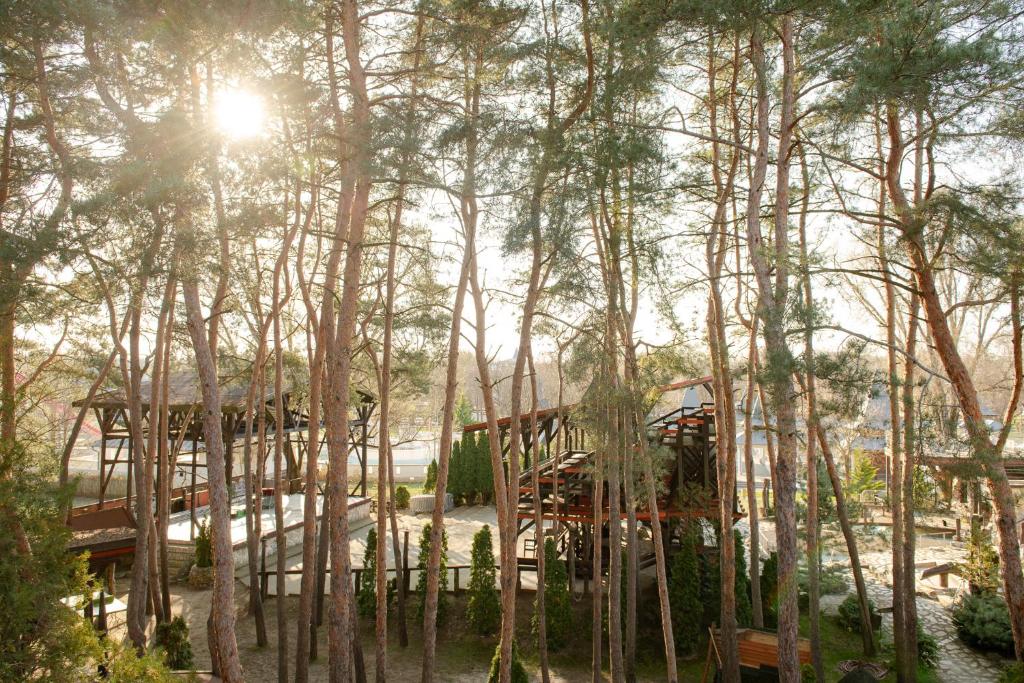 Hotel Barbizon - Resim 37