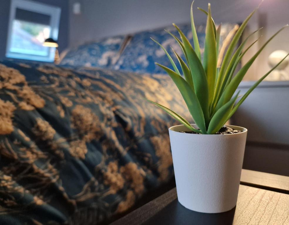 a potted plant sitting on a table next to a bed at The Penthouse NY Loft Apartment in Barmouth