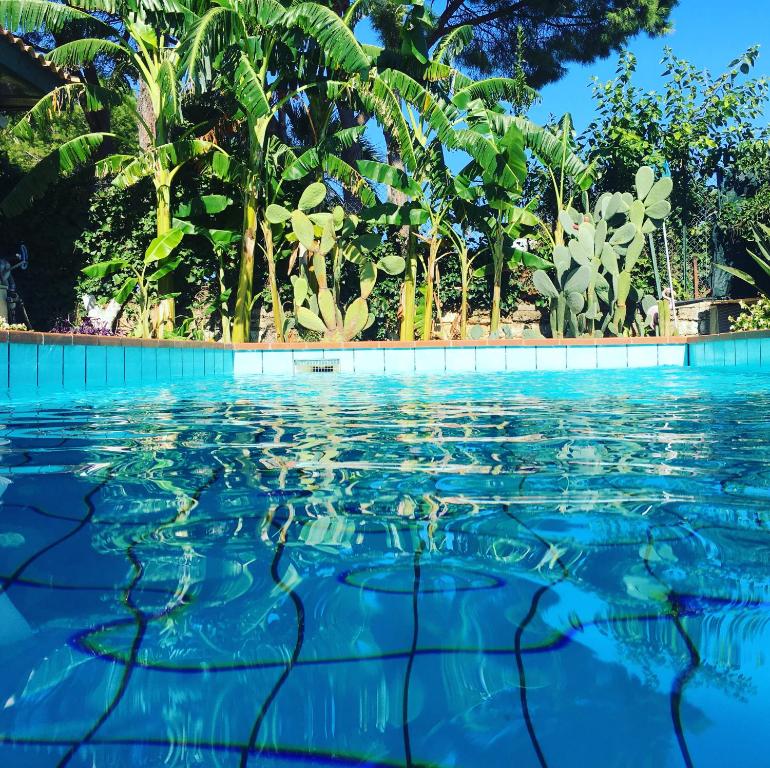 una piscina con agua azul y árboles en el fondo en Oasi Del Gabbiano, en Siracusa