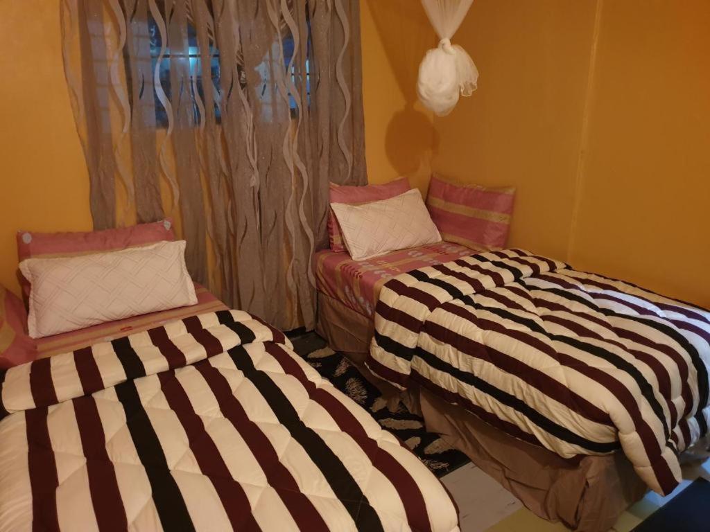 2 camas en una habitación con sábanas a rayas en EverGreen Lodge Bed & Breakfast, en Sukau