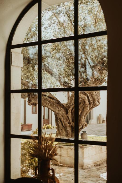 a window with a view of a tree seen through it at GAPO Rooms in Orta Nova