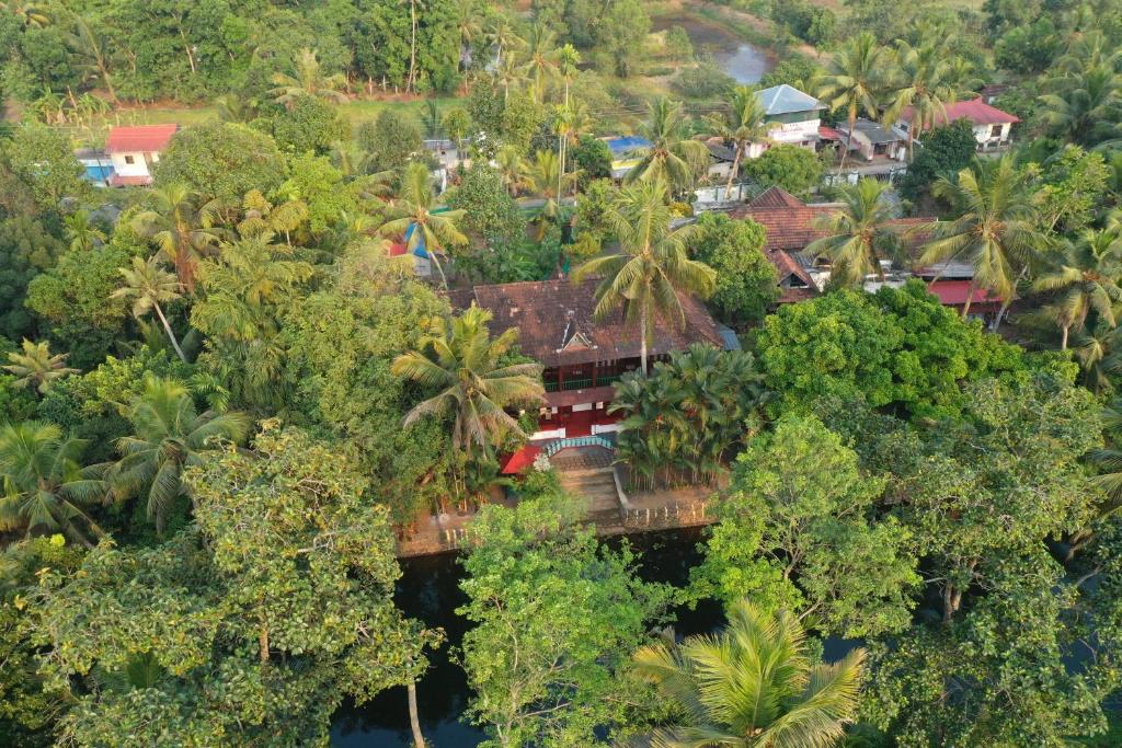 an aerial view of a resort in the jungle at Garggi Backwater Retreat in Kottayam