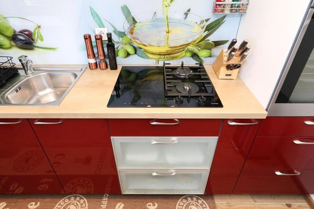 Kuchyňa alebo kuchynka v ubytovaní Apartman Sipina 2