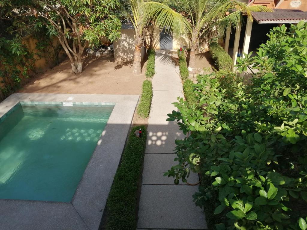 Ouoran的住宿－Chez Sandrine，植物庭院中的游泳池