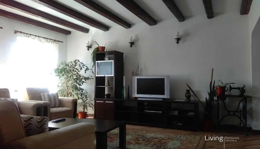 uma sala de estar com uma televisão e um sofá em Pensiunea Veronica em Câmpulung Moldovenesc