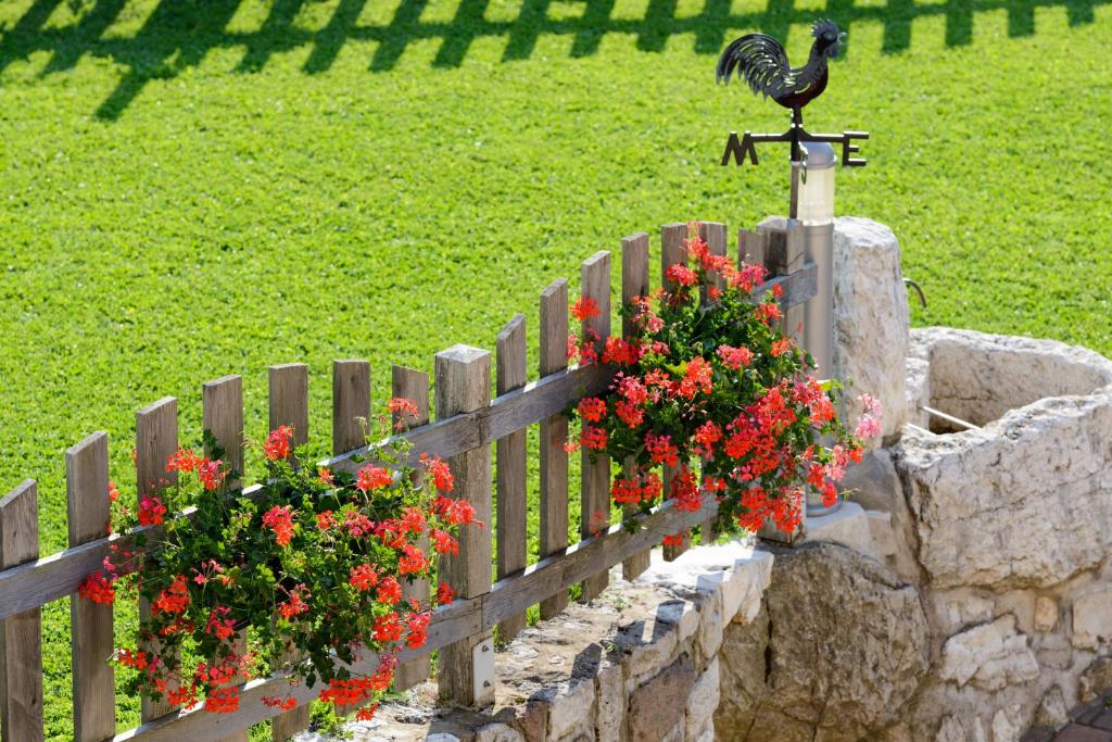 Vonkajšia záhrada v ubytovaní FORESTO holiday apartments