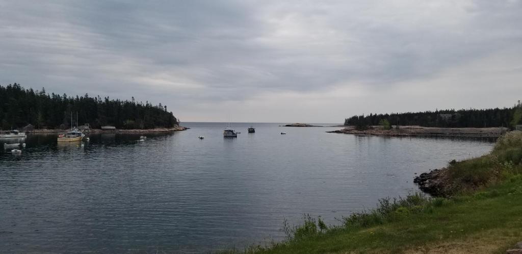 una gran masa de agua con barcos dentro en Sunshine, en Gouldsboro