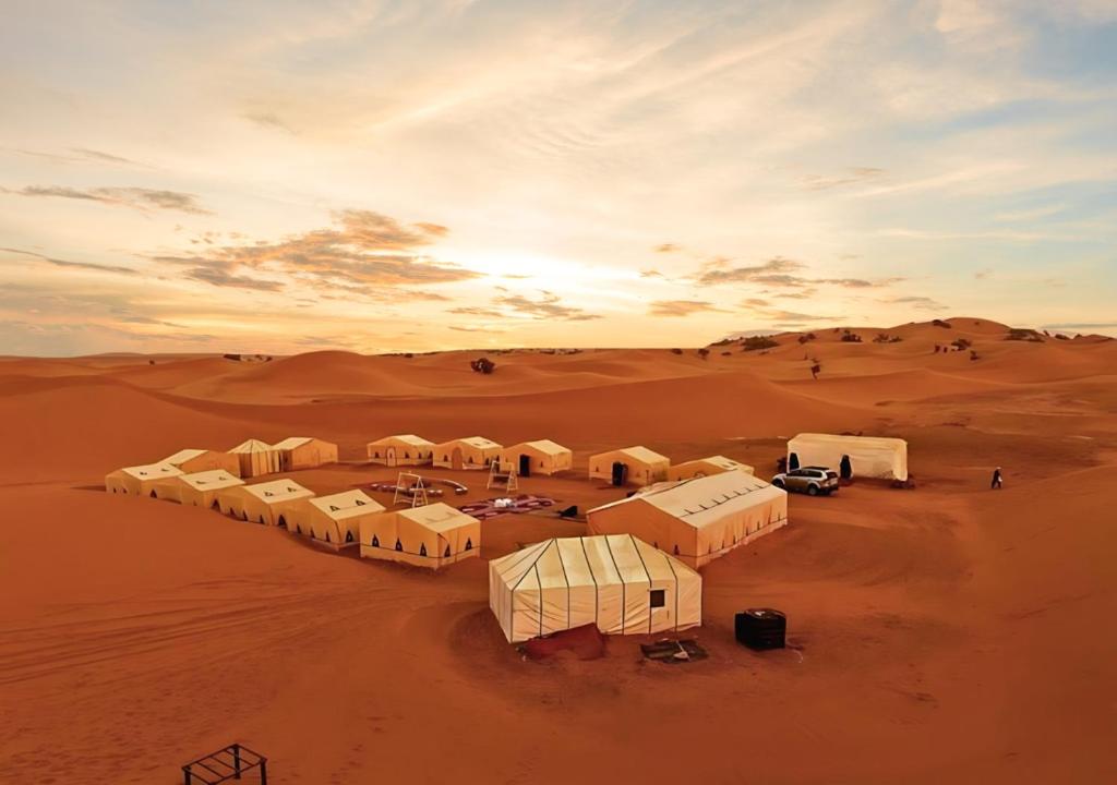 un grupo de camellos en medio del desierto en Sahara Berber Camp, en Zagora