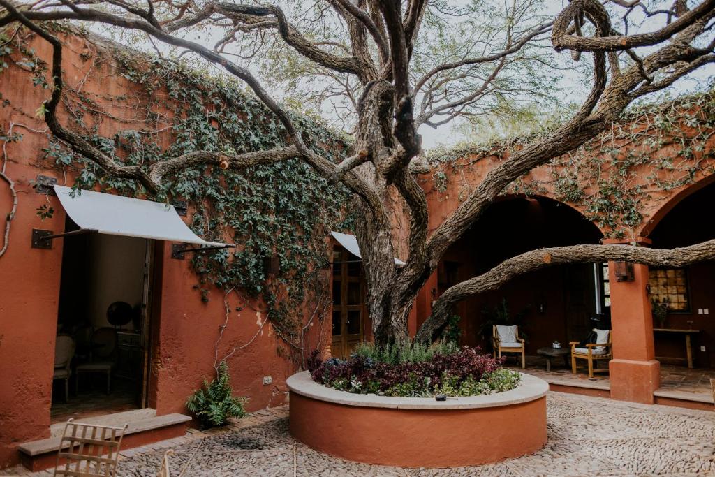 Fotografie z fotogalerie ubytování Hotel Casa De Quino v destinaci Querétaro
