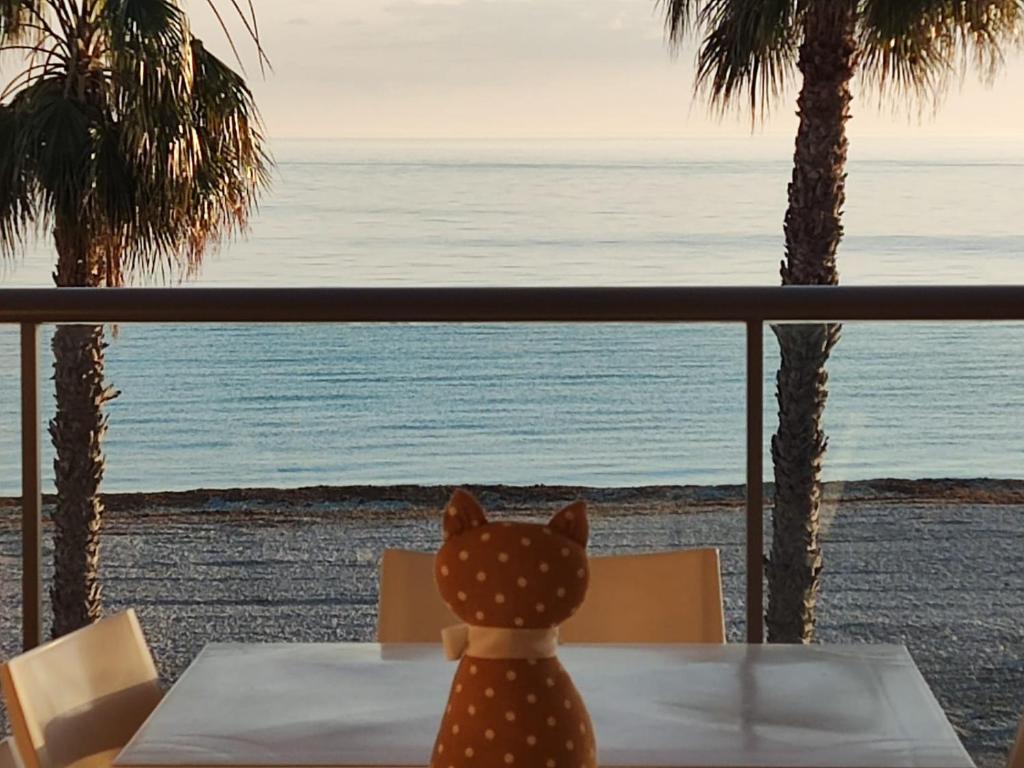 デニアにあるApartamento Azul Marinoの海を見下ろすテーブルに座る猫