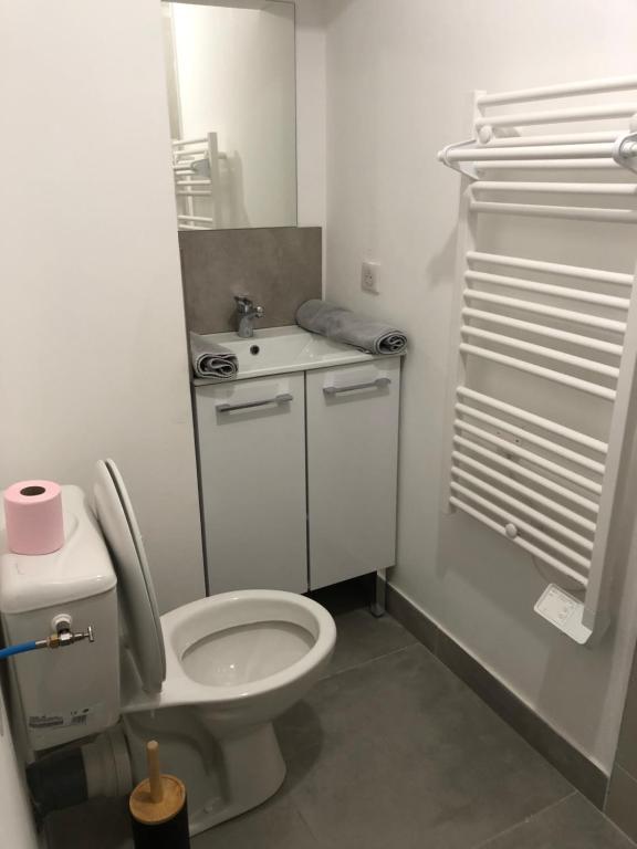 a bathroom with a white toilet and a sink at Beau studio meublé refait à neuf Montélimar centre in Montélimar