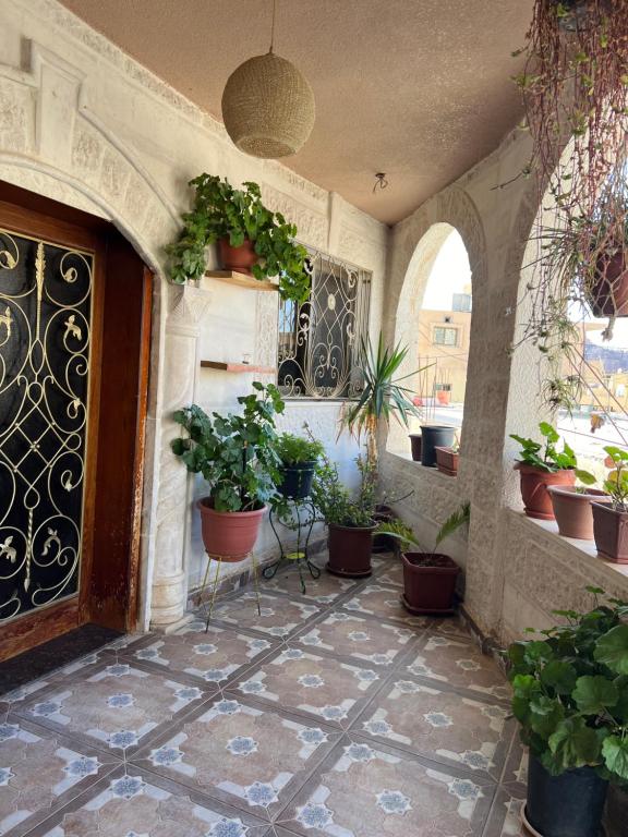 Zahrada ubytování Bedouin family home
