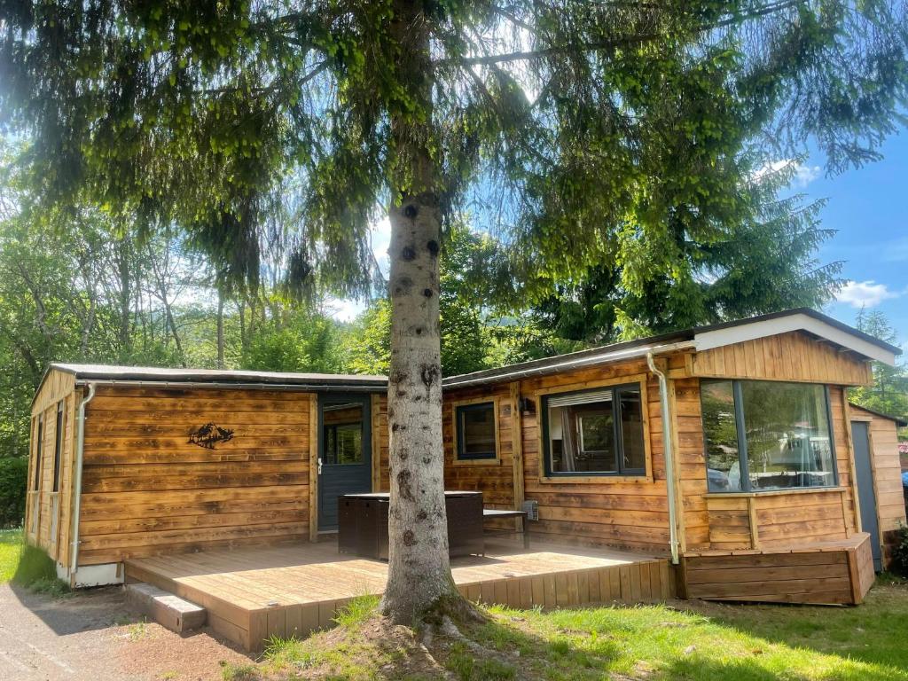 a wooden cabin with a tree in front of it at Chalet 9 personnes, piscine, terrasse in Saint-Maurice-sur-Moselle
