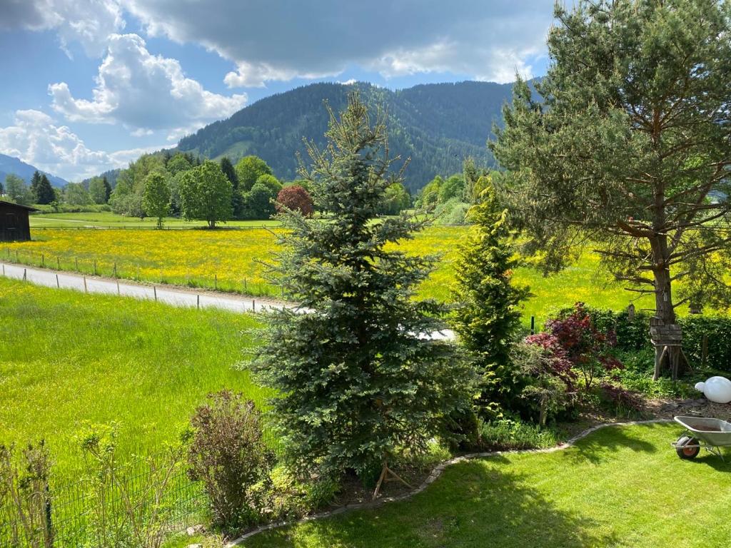 un giardino con un albero e un campo di fiori di Apartments Golfweg a Kitzbühel