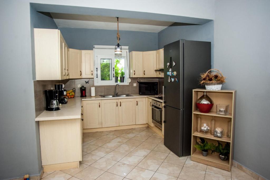 Kuchyň nebo kuchyňský kout v ubytování Gravanis IR Home