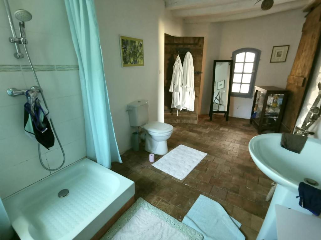 a bathroom with a shower and a toilet and a sink at Chambre d&#39;hôtes EPI in Ingrandes