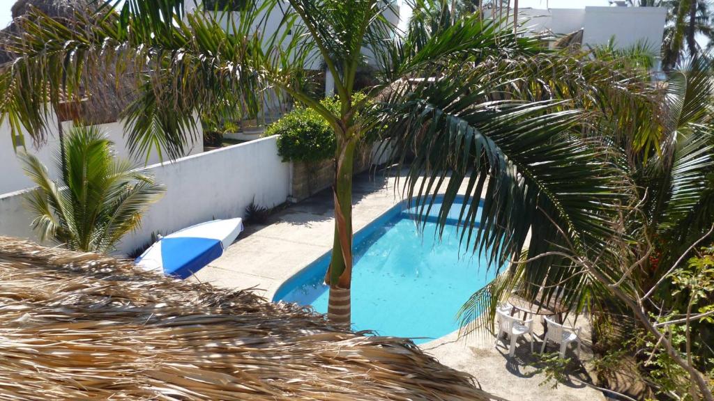 a palm tree is next to a swimming pool at Casa Marina Antonella in Pie de la Cuesta