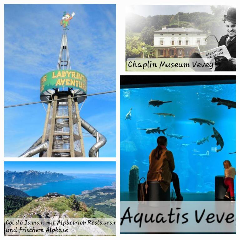 Fotografie z fotogalerie ubytování La Pergola v destinaci Montreux