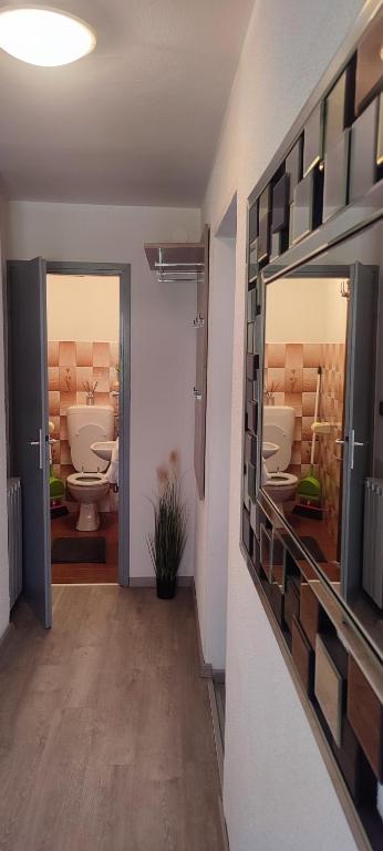 a bathroom with two toilets and a mirror at Apartma Soča Oasis in Srpenica
