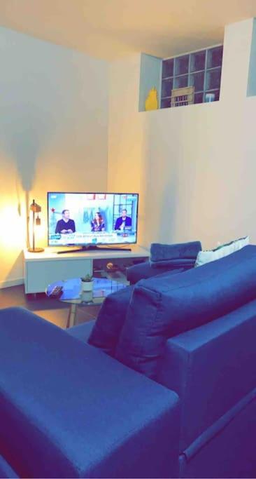 un salon avec un canapé et une télévision à écran plat dans l'établissement Agréable logement 2 chambres, à Saint-Saulve
