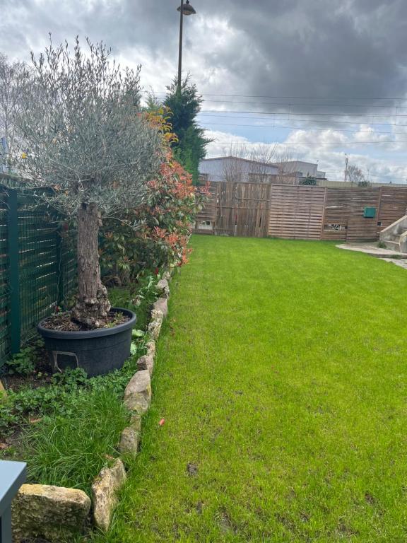 a garden with a tree in a pot on the grass at Maison avec beau jardin in Pierrelaye