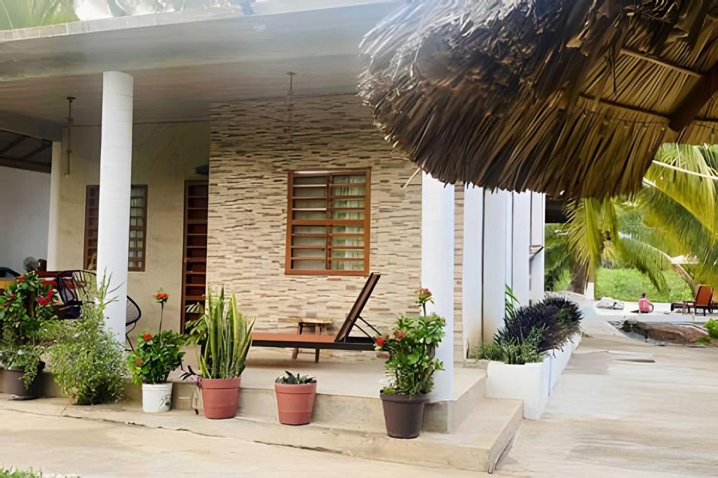 a patio with potted plants and a bench on a house at Casa Las Palmas Playa La Saladita in Zihuatanejo