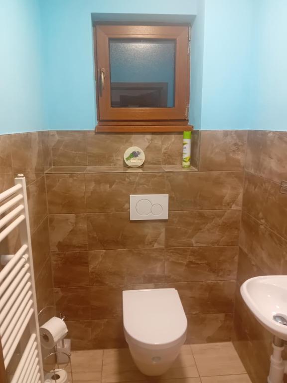 Kúpeľňa v ubytovaní Útulný Domček Privat Bedrich