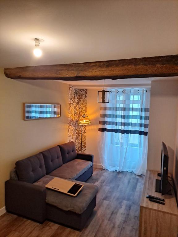 ein Wohnzimmer mit einem Sofa und einem TV in der Unterkunft logement T2 neuf - centre-ville in Parthenay