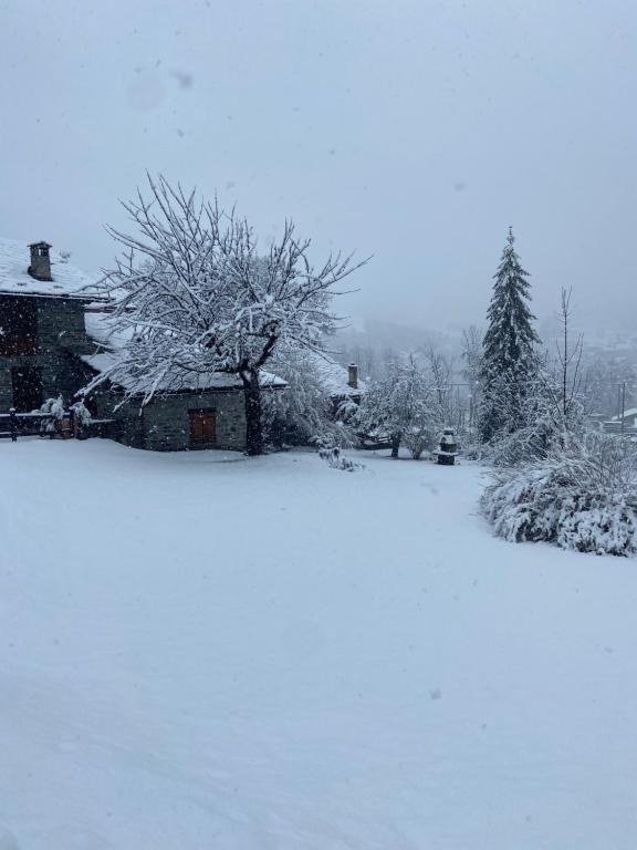 um quintal coberto de neve com uma casa e árvores em Chalet Epinel em Villaret