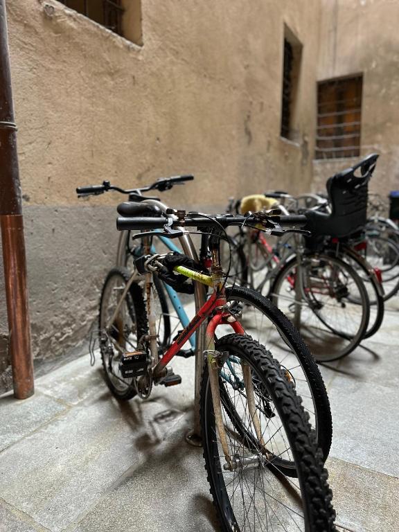 Attività di ciclismo presso l'appartamento o nelle vicinanze