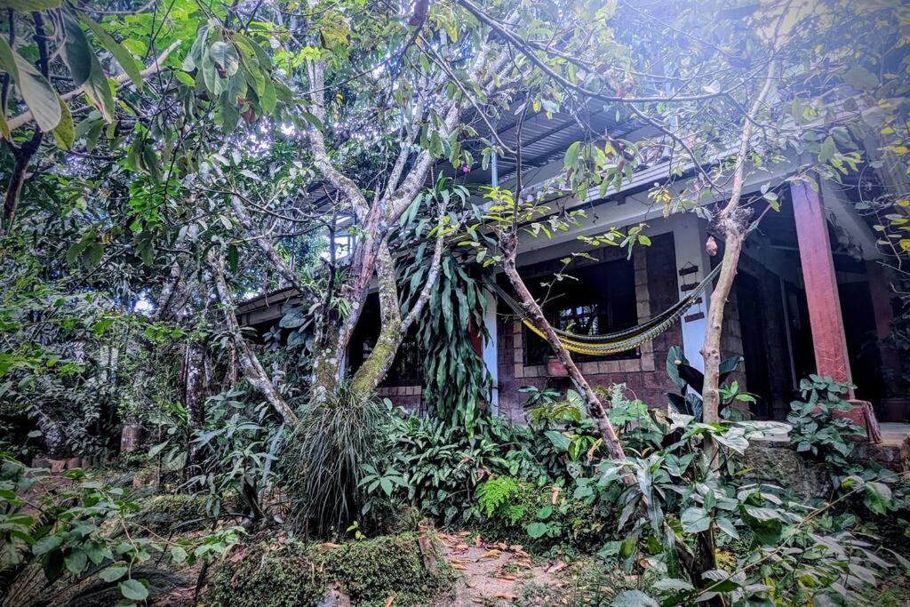Zahrada ubytování Guamacayan House