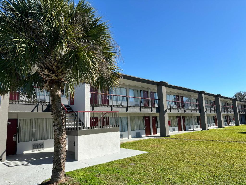 una palma di fronte a un edificio di Red Roof Inn Wildwood, FL - The Villages a Wildwood