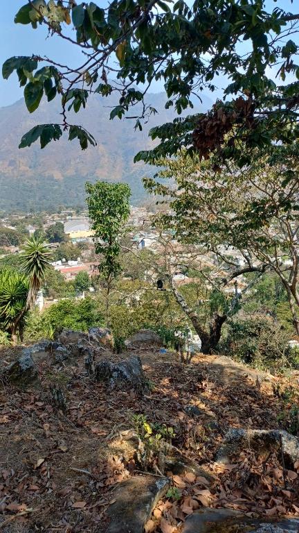 a view of a hill with trees and a city at Las Cabañas De Mike in San Juan La Laguna