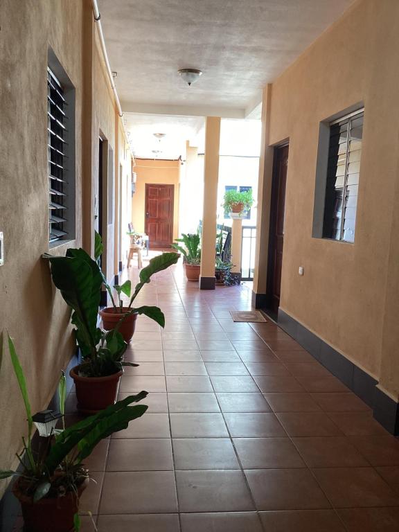 um corredor com vasos de plantas num edifício em Casa Victoria em San Benito
