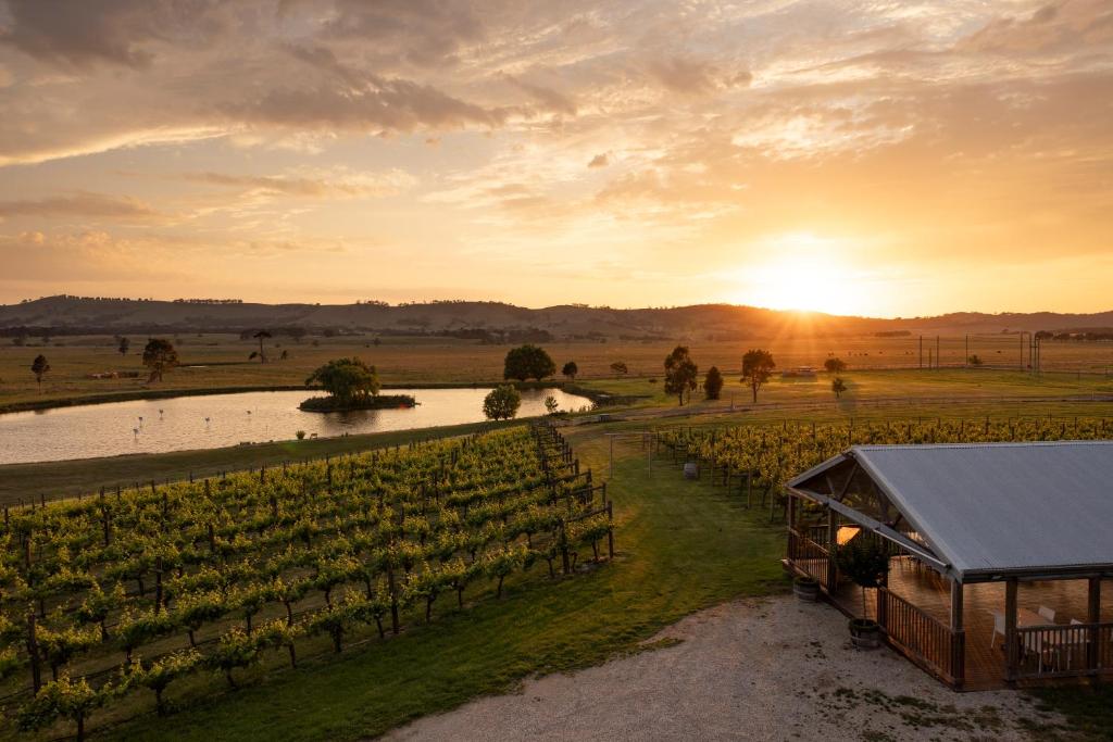 an aerial view of a vineyard at sunset at Cleveland Estate in Lance Field