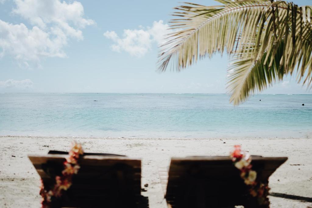 widok na plażę z palmą i ocean w obiekcie Tai Marino - Beach Bungalows w mieście Amuri