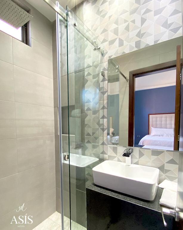 Koupelna v ubytování Hotel Asís