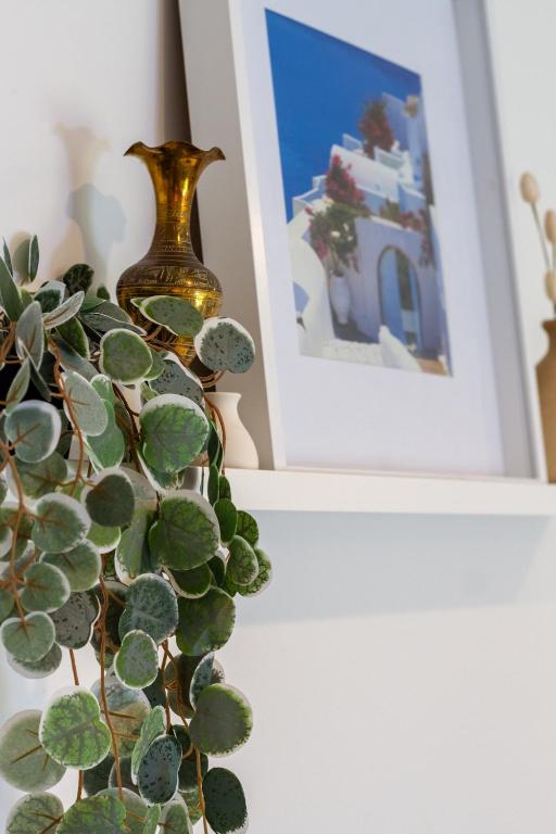 Central Chch Greek Island Vibe 2bed townhouse - Resim 22