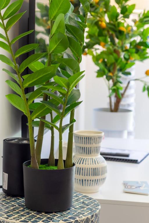 Central Chch Greek Island Vibe 2bed townhouse - Resim 15