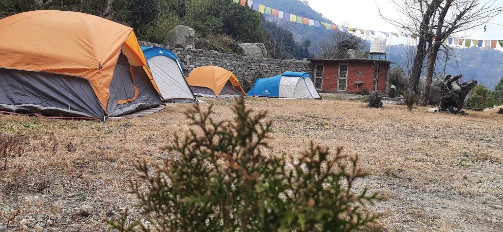 Himalayan rock valley camping Dalhousie hp - Tent