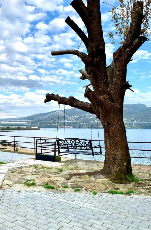 a tree with a swing in front of the water at Villa a pie de playa in Moaña