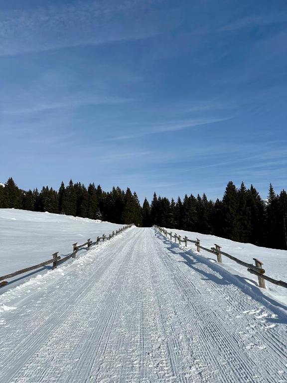 Mansarda con vista v zimě